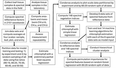 Phenotyping cotton leaf chlorophyll via in situ hyperspectral reflectance sensing, spectral vegetation indices, and machine learning